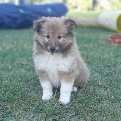BILBO