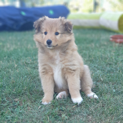 BILLY